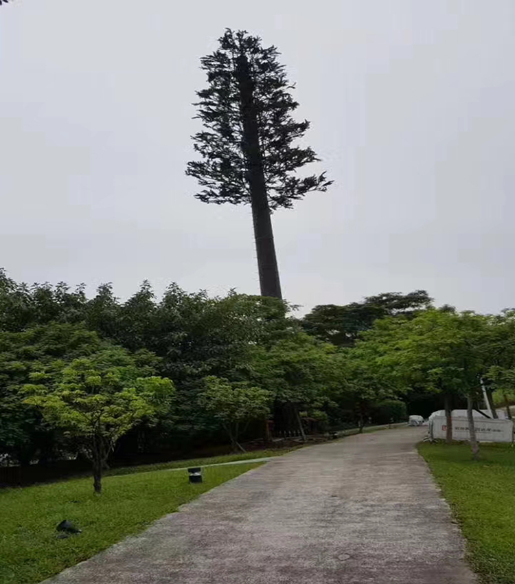 基站美化树.jpg